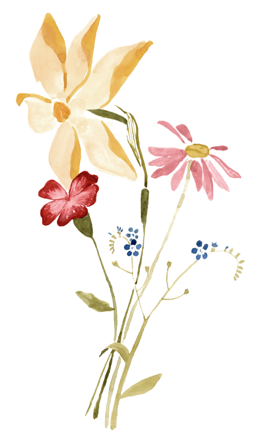 Flowers-2-Topsham-homeopathic-practice-cath-sleigh-homeopathy Flowers-2-Topsham-homeopathic-practice-cath-sleigh-homeopathy